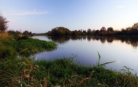 Na zdjęciu rzeka, trawa, las.