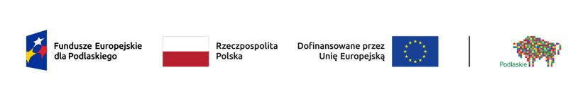 Na białym tle, od prawej logo z&nbsp;trzema gwiazdami na&nbsp;ciemnoniebieskim tle, obok biało-czerwona flaga, następnie flaga z&nbsp;gwiazdami na&nbsp;ciemnoniebieskim tle. Po lewej kolorowe logo w&nbsp;kształcie żubra.