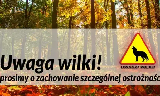 Zdjęcie podglądowe z napisem Uwaga wilk, prosimy o zachowanie 