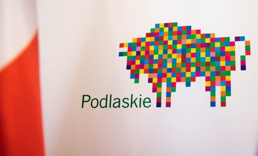Po prawej stronie flaga polski. Na środku, na białym tle kolorowa grafika żubra. Obok Napis Podlaskie.