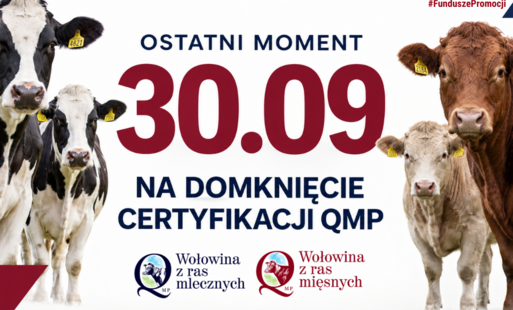 Biały plakat z grafiką z krowami po obu bokach. Na środku napis Ostatni moment na domknięcie certyfikacji QMP.